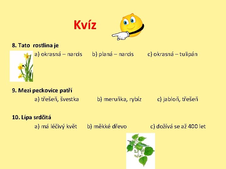 Kvíz 8. Tato rostlina je a) okrasná – narcis b) planá – narcis c)