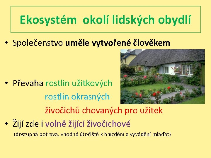 Ekosystém okolí lidských obydlí • Společenstvo uměle vytvořené člověkem • Převaha rostlin užitkových rostlin