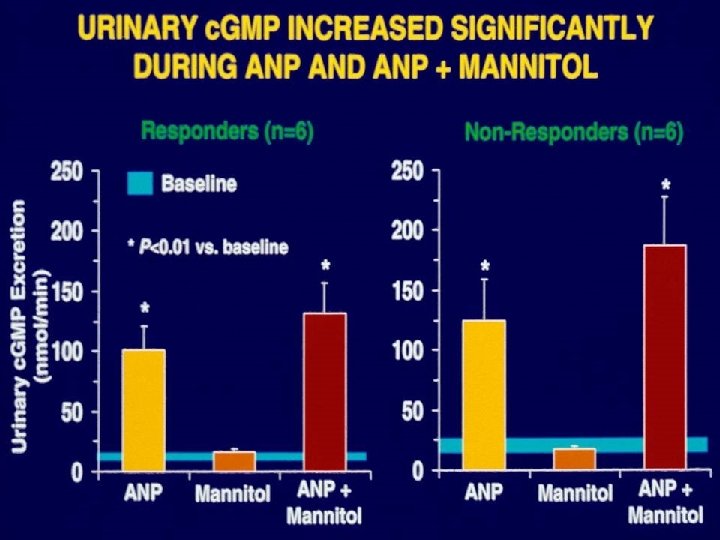 Urinary c. GMP Increased Significantly During ANP and ANP + Mannitol 