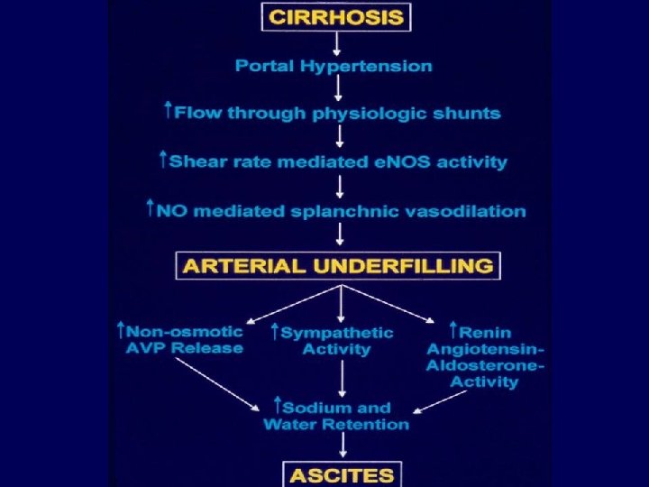 Cirrhosis – Arterial Underfilling – Ascites 