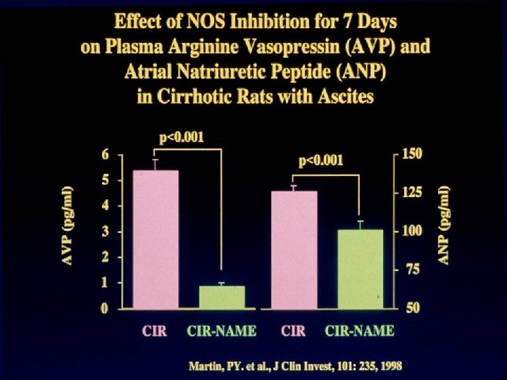 Effect of NOS Inhibition for 7 Days on Plasma Arginine Vasopressin and Atrial Natriuretic