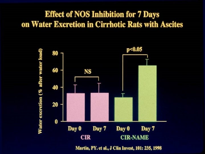 Effect of NOS Inhibition for 7 Days on Water Excretion in Cirrhotic Rats with
