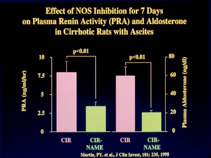Effect of NOS Inhibition for 7 Days on Plasma Renin Activity and Aldosterone in
