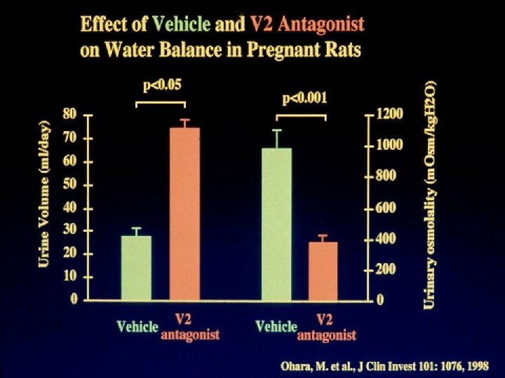 Effect of Vehicle and V 2 Antagonist on Water Balance in Pregnant Rats 