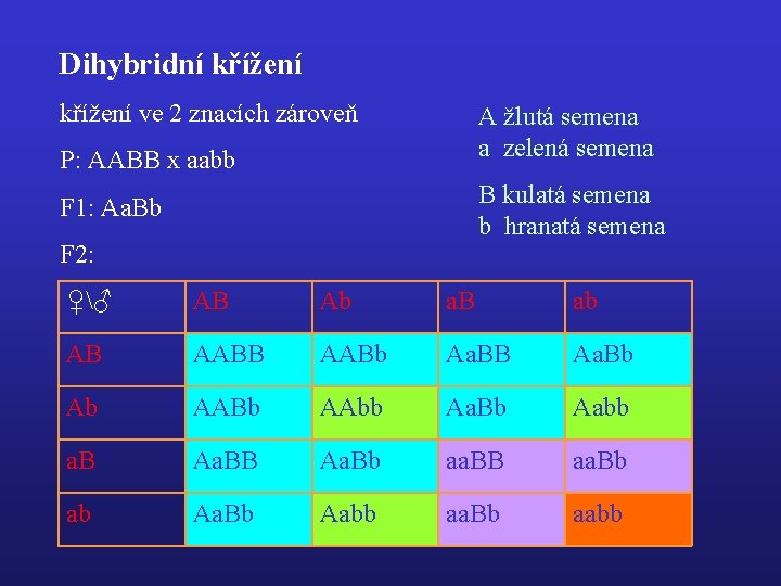 Dihybridní křížení ve 2 znacích zároveň A žlutá semena a zelená semena P: AABB