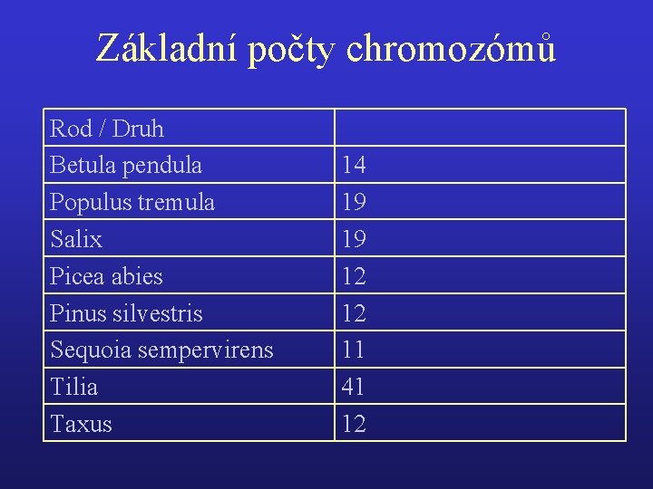 Základní počty chromozómů Rod / Druh Betula pendula Populus tremula Salix Picea abies Pinus