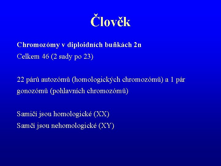 Člověk Chromozómy v diploidních buňkách 2 n Celkem 46 (2 sady po 23) 22