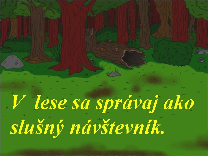 V lese sa správaj ako slušný návštevník. 