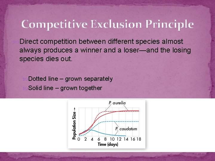 Competitive Exclusion Principle Direct competition between different species almost always produces a winner and