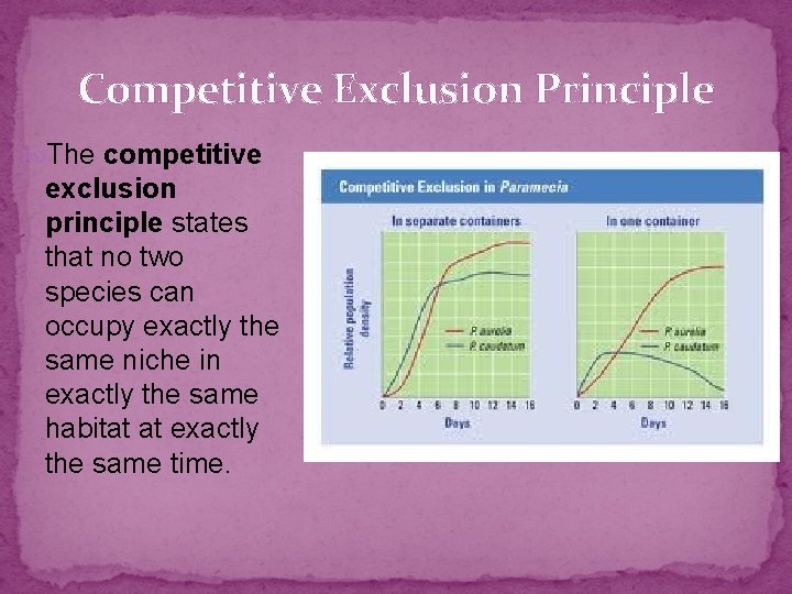 Competitive Exclusion Principle The competitive exclusion principle states that no two species can occupy