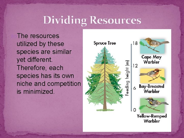 Dividing Resources The resources utilized by these species are similar yet different. Therefore, each