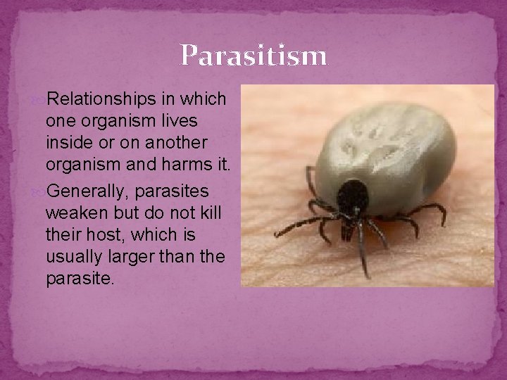 Parasitism Relationships in which one organism lives inside or on another organism and harms Parasitism Relationships in which one organism lives inside or on another organism and harms