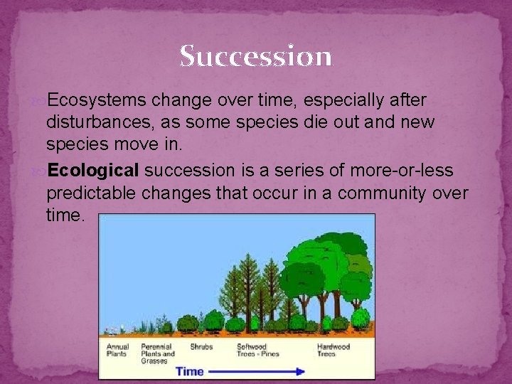 Succession Ecosystems change over time, especially after disturbances, as some species die out and