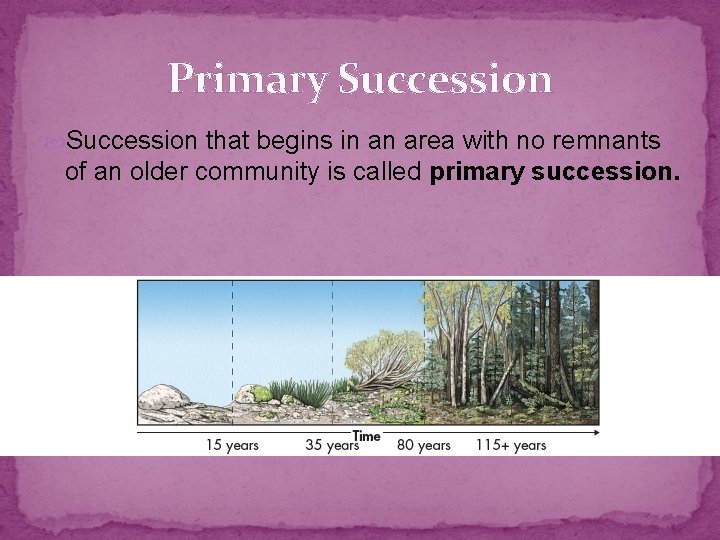 Primary Succession that begins in an area with no remnants of an older community