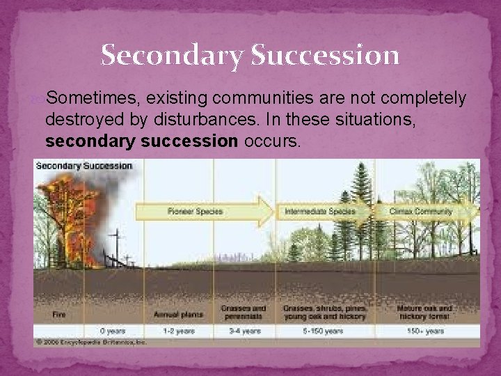 Secondary Succession Sometimes, existing communities are not completely destroyed by disturbances. In these situations,