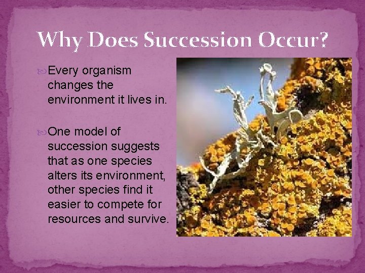 Why Does Succession Occur? Every organism changes the environment it lives in. One model Why Does Succession Occur? Every organism changes the environment it lives in. One model