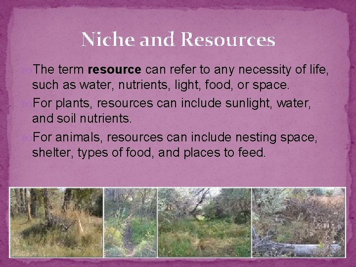 Niche and Resources The term resource can refer to any necessity of life, such