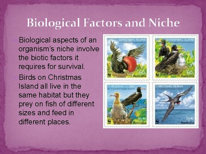 Biological Factors and Niche Biological aspects of an organism’s niche involve the biotic factors