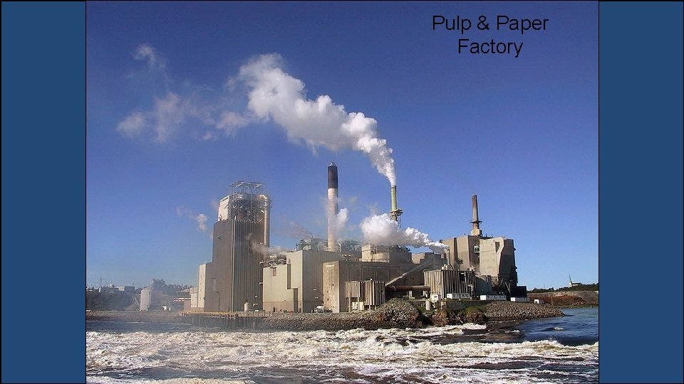 Pulp & Paper Factory 