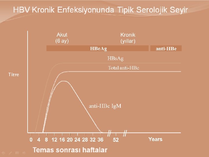 Hepatit B Virüsü 30 02. 01. 2018 