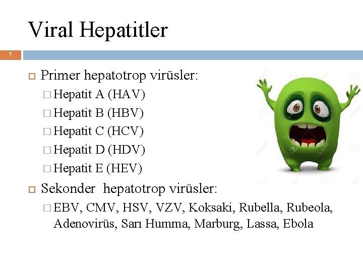 Viral Hepatitler 7 Primer hepatotrop virüsler: � Hepatit A (HAV) � Hepatit B (HBV)