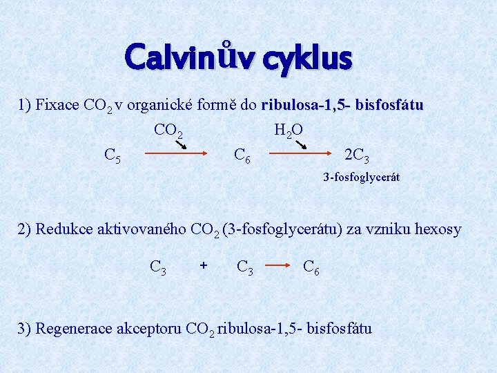 Calvinův cyklus 1) Fixace CO 2 v organické formě do ribulosa-1, 5 - bisfosfátu