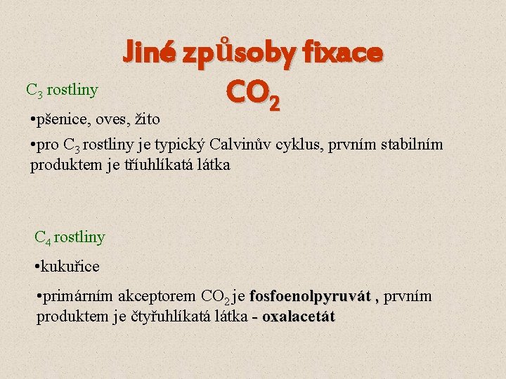 C 3 rostliny Jiné způsoby fixace CO 2 • pšenice, oves, žito • pro C 3 rostliny Jiné způsoby fixace CO 2 • pšenice, oves, žito • pro