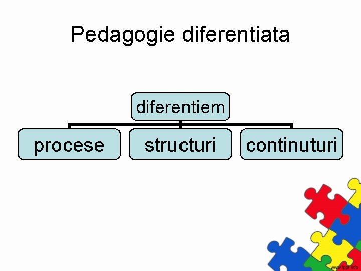 Pedagogie diferentiata diferentiem procese structuri continuturi 