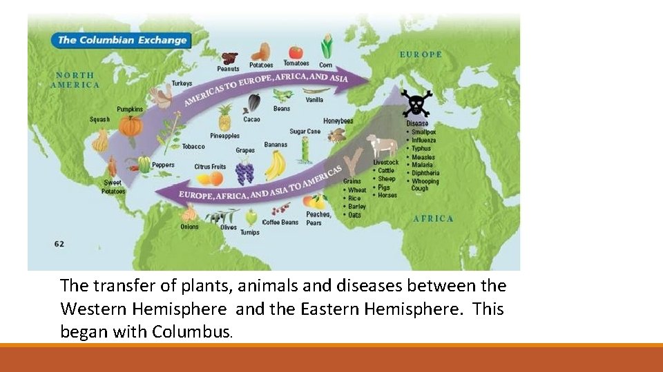 The transfer of plants, animals and diseases between the Western Hemisphere and the Eastern