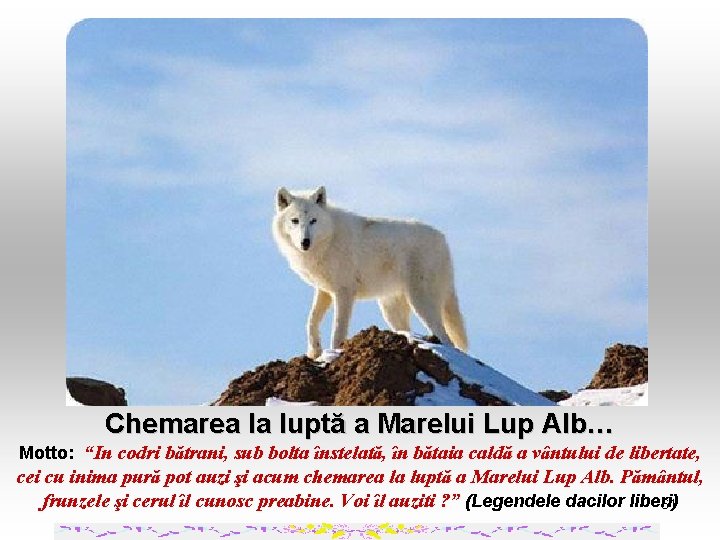 Chemarea la luptă a Marelui Lup Alb… Motto: “In codri bătrani, sub bolta înstelată,