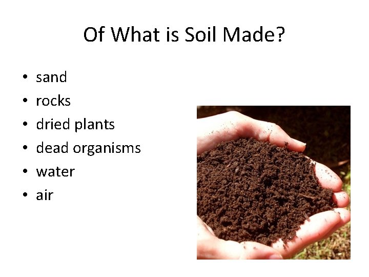 Of What is Soil Made? • • • sand rocks dried plants dead organisms