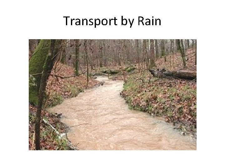 Transport by Rain 