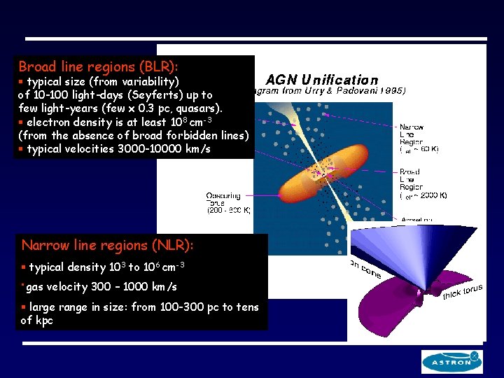 Broad line regions (BLR): § typical size (from variability) of 10 -100 light-days (Seyferts)