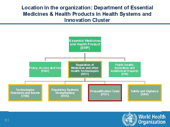 Location in the organization: Department of Essential Medicines & Health Products in Health Systems