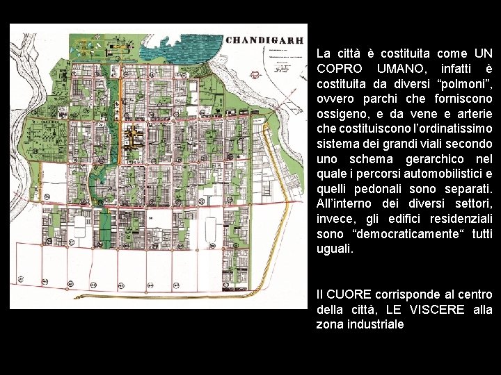 La città è costituita come UN COPRO UMANO, infatti è costituita da diversi “polmoni”, La città è costituita come UN COPRO UMANO, infatti è costituita da diversi “polmoni”,