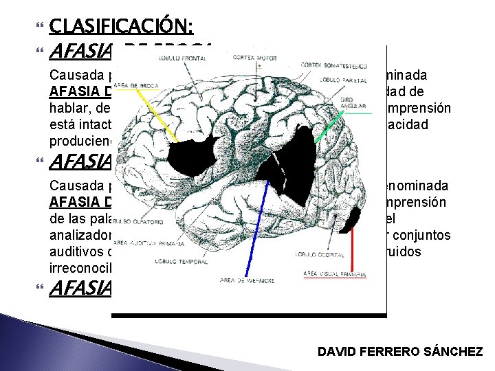  CLASIFICACIÓN: AFASIA DE BROCA: Causada por lesión en el área de Broca, también