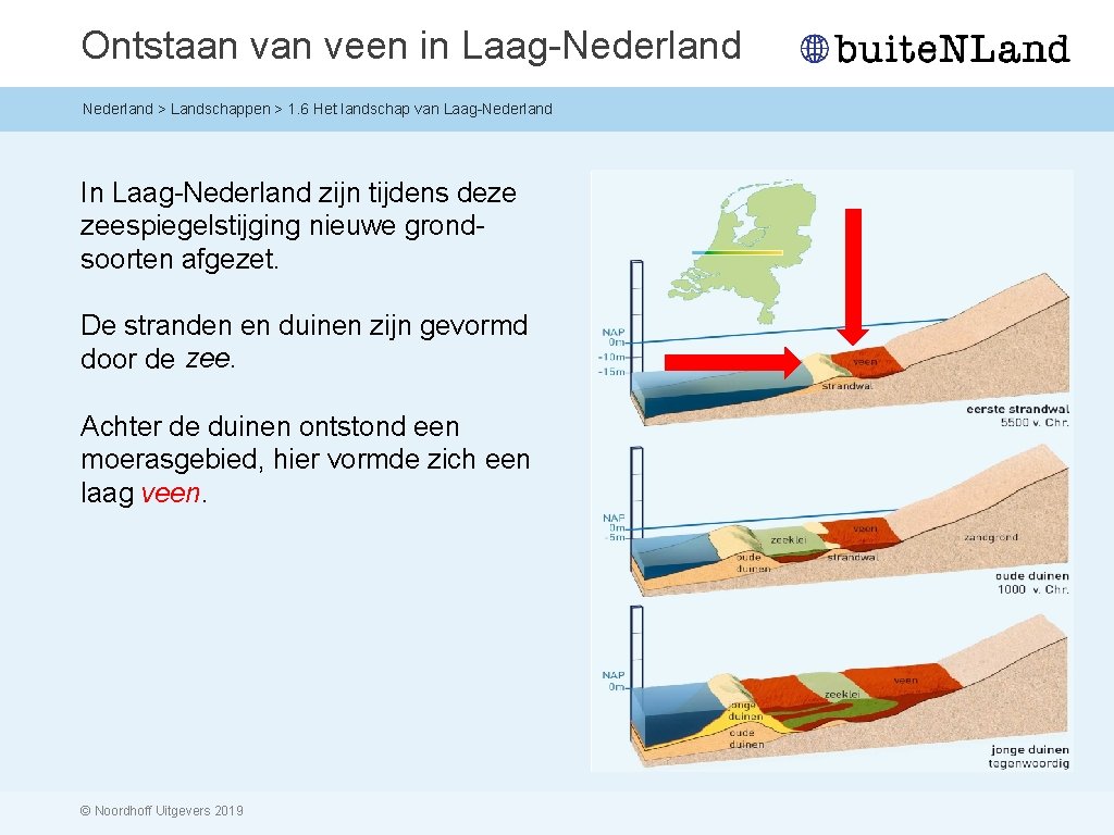 Ontstaan veen in Laag-Nederland > Landschappen > 1. 6 Het landschap van Laag-Nederland In