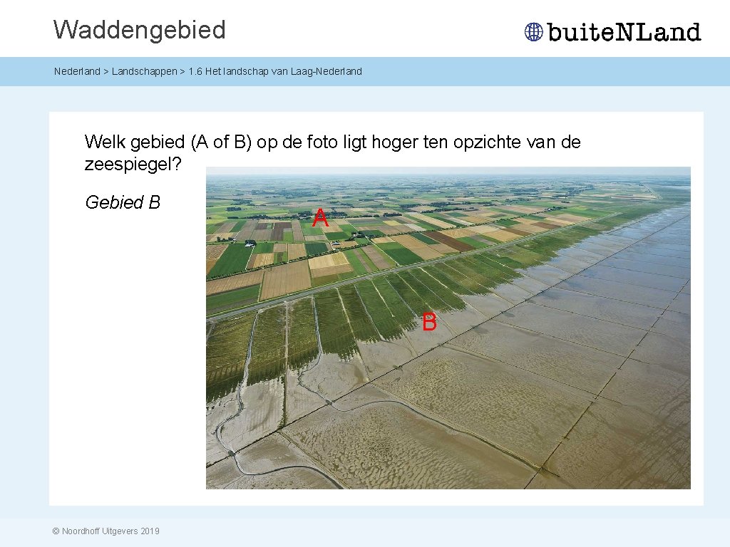 Waddengebied Nederland > Landschappen > 1. 6 Het landschap van Laag-Nederland Welk gebied (A