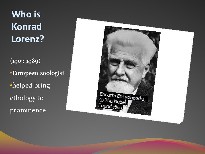Who is Konrad Lorenz? (1903 -1989) • European zoologist • helped bring ethology to