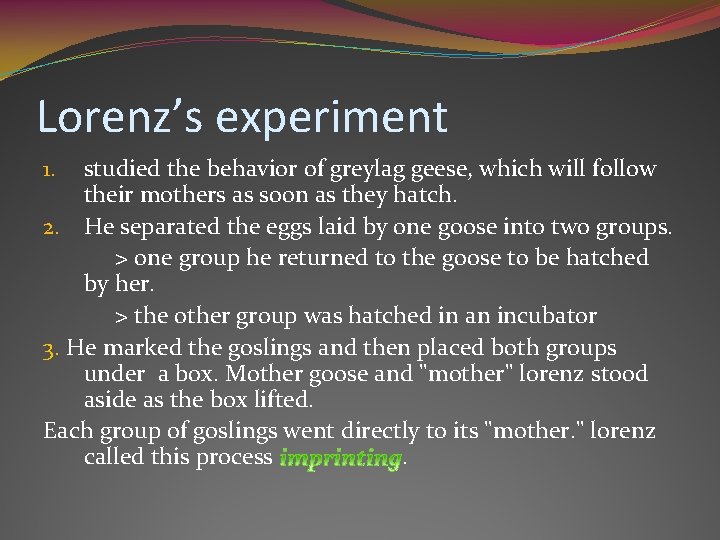 Lorenz’s experiment studied the behavior of greylag geese, which will follow their mothers as