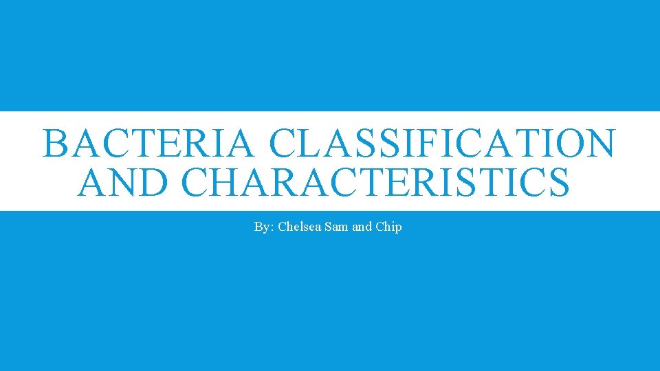 BACTERIA CLASSIFICATION AND CHARACTERISTICS By Chelsea Sam and