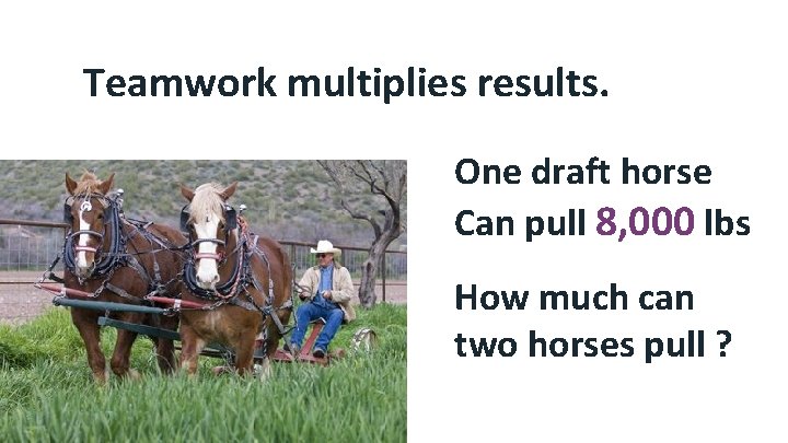 Teamwork multiplies results. One draft horse Can pull 8, 000 lbs How much can