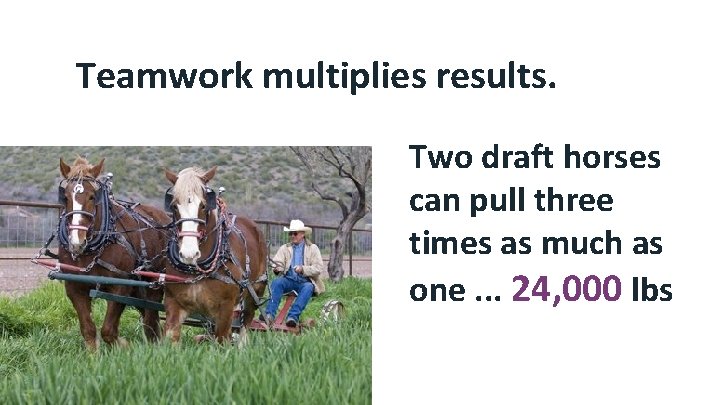 Teamwork multiplies results. Two draft horses can pull three times as much as one.