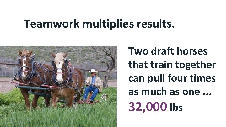 Teamwork multiplies results. Two draft horses that train together can pull four times as