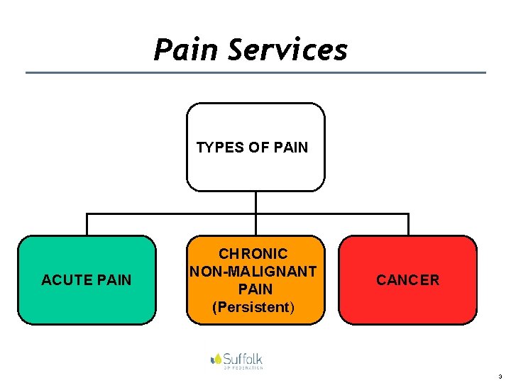 Pain Services TYPES OF PAIN ACUTE PAIN CHRONIC NON-MALIGNANT PAIN (Persistent) CANCER 3 