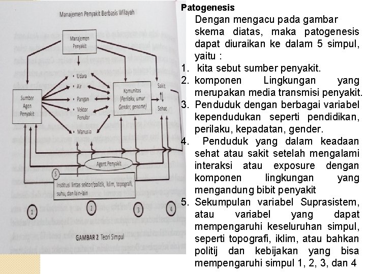 Patogenesis 1. 2. 3. 4. 5. Dengan mengacu pada gambar skema diatas, maka patogenesis