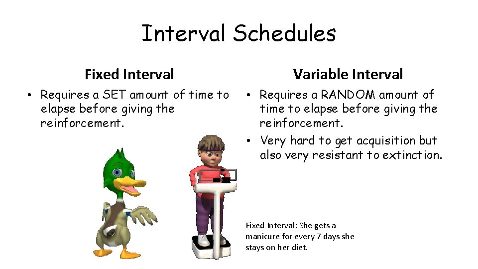 Interval Schedules Fixed Interval • Requires a SET amount of time to elapse before