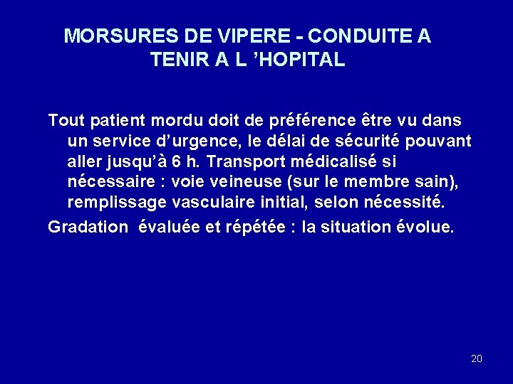 MORSURES DE VIPERE - CONDUITE A TENIR A L ’HOPITAL Tout patient mordu doit