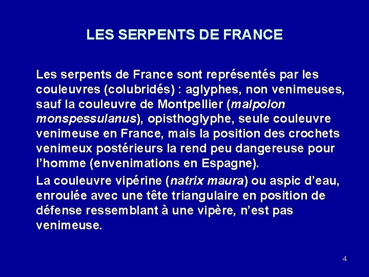 LES SERPENTS DE FRANCE Les serpents de France sont représentés par les couleuvres (colubridés)