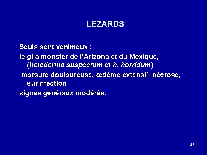 LEZARDS Seuls sont venimeux : le gila monster de l’Arizona et du Mexique, (heloderma